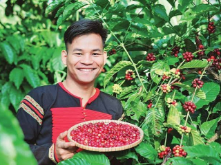 10 ĐIỀU THÚ VỊ VỀ CÀ PHÊ MÀ CÓ THỂ BẠN CHƯA BIẾT| NONLA COFFEE